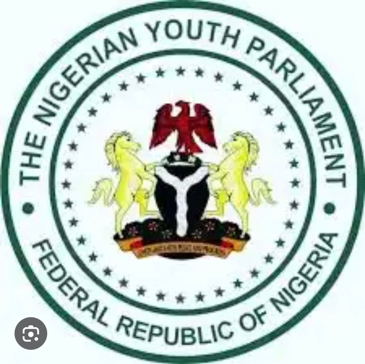 Nigerian Youth Parliament