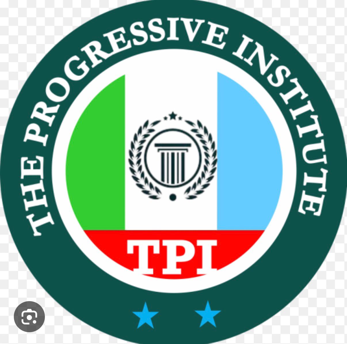 The Progressive Institute